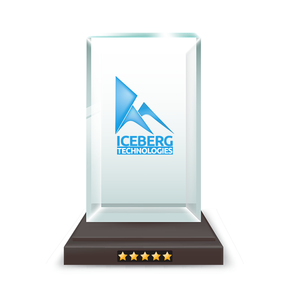 risingiceberg-software-company-What We Offer